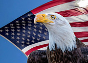 Bald Eagle and American Flag Photograph by Dawn Key