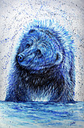 Baloo Painting by Teshia Art