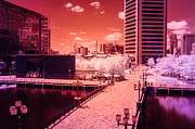 Baltimore Harbor Photograph by Jonas Luis
