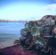 Basket Traps Photograph by Nisah Cheatham