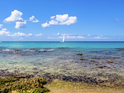 Bayahibe coral reef Photograph by Benny Marty Bayahibe coral reef Photograph by Benny Marty