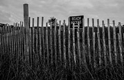 Beach Access Photograph by Brian MacLean