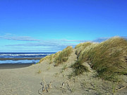 Beach Grass Photograph by Suzy Piatt