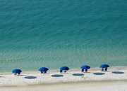 Beach Morning Photograph by Tammie J Jordan
