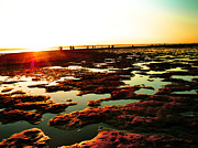 Beach Puddles Photograph by Michael Blaine