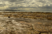 Beach SYD02 Photograph by Werner Padarin Beach SYD02 Photograph by Werner Padarin