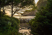 Beach Trail Photograph by Kristopher Schoenleber