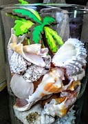 Beachcombing Sanibel Style Photograph by Suzanne Berthier