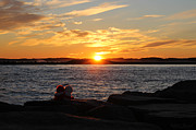 Bear Love Sunset Photograph by Robert Banach