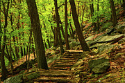 Bear Mountain Steps in the Spring Photograph by Raymond Salani III Bear Mountain Steps in the Spring Photograph by Raymond Salani III