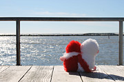 Bears Bay Watching Photograph by Robert Banach Bears Bay Watching Photograph by Robert Banach