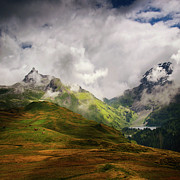Beaute Sauvage Photograph by Philippe Sainte-Laudy