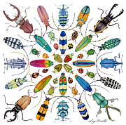 Beautiful Beetles Painting by Lucy Arnold