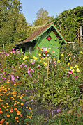 Beautiful colorful flower garden Photograph by Matthias Hauser