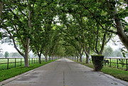 Entrance To River Edge Farm Photograph by Eddie Yerkish