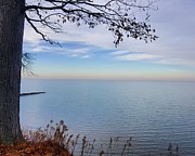 Beautiful Lake Shore Photograph by Yazid Ismail