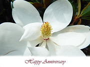 Beautiful Magnolia Flower Happy Anniversary Card Photograph by Amy Dundon