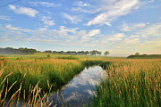 Beautiful Wetlands in Glacial Park Photograph by Ray Mathis