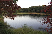 Beaver Lake with a Gentle Breeze Photograph by Allen Nice-Webb