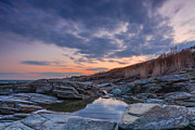 Beavertail Photograph by Bryan Bzdula