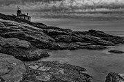 Beavertail Sans Color Photograph by Bryan Bzdula