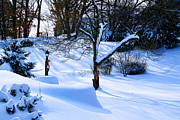 Before the Sleigh Ride Photograph by Mike Smale