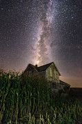 Behind The Rows Photograph by Aaron J Groen Behind The Rows Photograph by Aaron J Groen