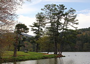 Bench by Beaver Lake Photograph by Allen Nice-Webb