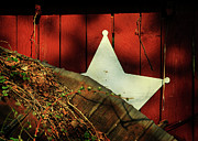 Between Two Worlds Photograph by Rebecca Sherman