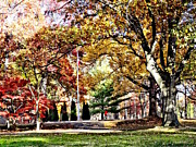 Bicycling in an Autumn Park Photograph by Susan Savad Bicycling in an Autumn Park Photograph by Susan Savad