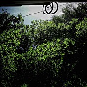 Bikes In Love
#bicycle #bike #trees Photograph by Rafa Rivas