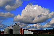 Bin Shed Blue Sky Photograph by Jerry Sodorff