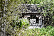 Bird Blind at Frontera Audubon Photograph by Debra Martz Bird Blind at Frontera Audubon Photograph by Debra Martz