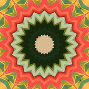 Bird of Paradise Kaleidoscope Photograph by Bill Barber