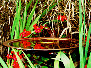 Birdbath Reflections Photograph by Allen Nice-Webb Birdbath Reflections Photograph by Allen Nice-Webb