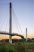 Birds Soaring Over Bob Kerry Bridge Photograph by Tim Kathka