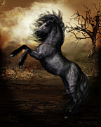 Black Beauty Digital Art by Shanina Conway