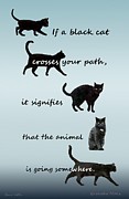 Black cat crossing Digital Art by Ivana Westin