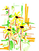 Black Eyed Susans Drawing by Teddy Campagna