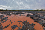 Black Falls Crossing Photograph by Tom Daniel
