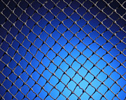 Black Net Photograph by Kelley King