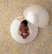 Natural Pearls Photograph by Anne Geddes