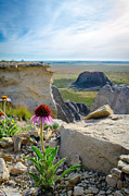 Black Sampson in the Badlands Photograph by Jeff Phillippi Black Sampson in the Badlands Photograph by Jeff Phillippi
