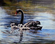 Black Swan and Cygnets No 1 Painting by Ryn Shell Black Swan and Cygnets No 1 Painting by Ryn Shell