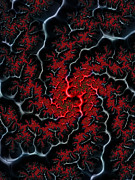 Black veins red blood abstract fractal art Digital Art by Matthias Hauser Black veins red blood abstract fractal art Digital Art by Matthias Hauser