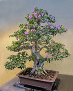 Blossom Beauty Photograph by Marilyn Cornwell