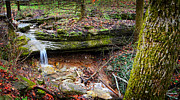Blowing Springs Park Bella Vista Arkansas Painting by Lourry Legarde Blowing Springs Park Bella Vista Arkansas Painting by Lourry Legarde