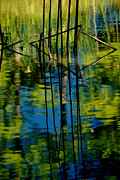 Blue and Green Pool Photograph by Iris Greenwell