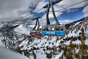Blue And Red Snowbird Trams Photograph by Adam Jewell