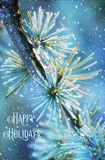 Blue Atlas Cedar Winter Holiday Card Photograph by Anita Pollak